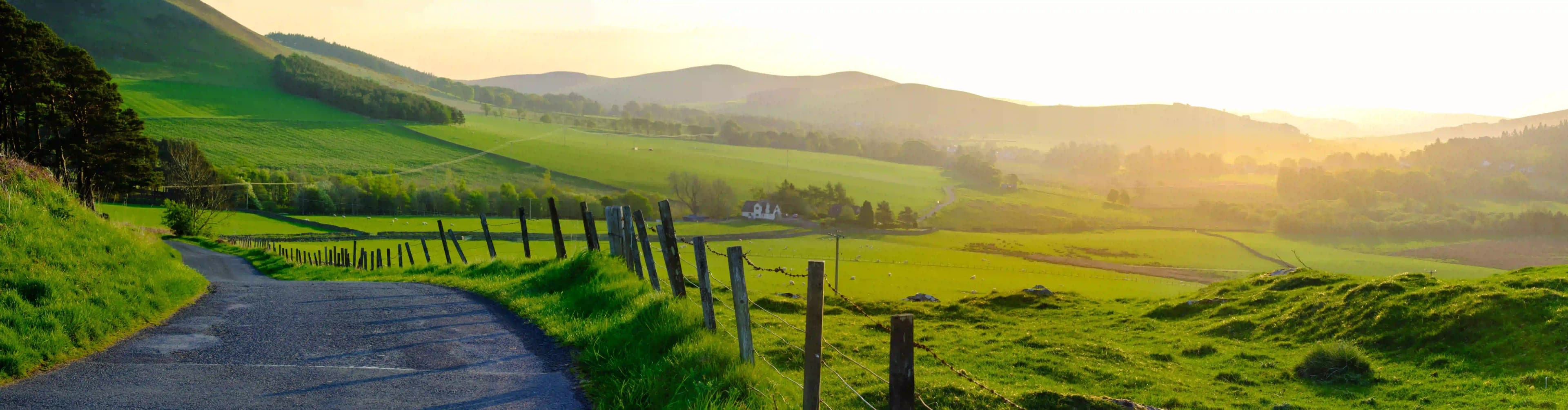 Panoramisch uitzicht van natuurgebied in Emmen